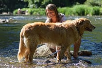 woman bathing a dog