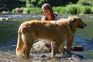 woman bathing a dog
